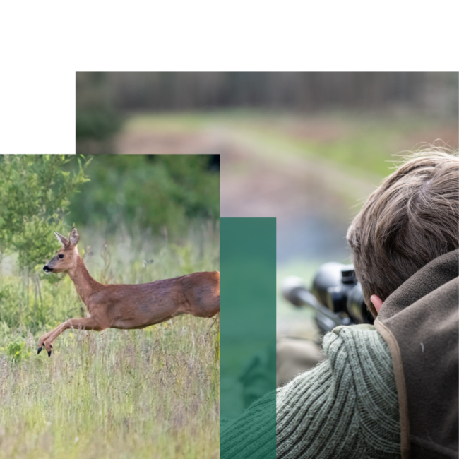 Deer Stalking Qualification – 1 – header Deer Stalking Qualification - 1 - header