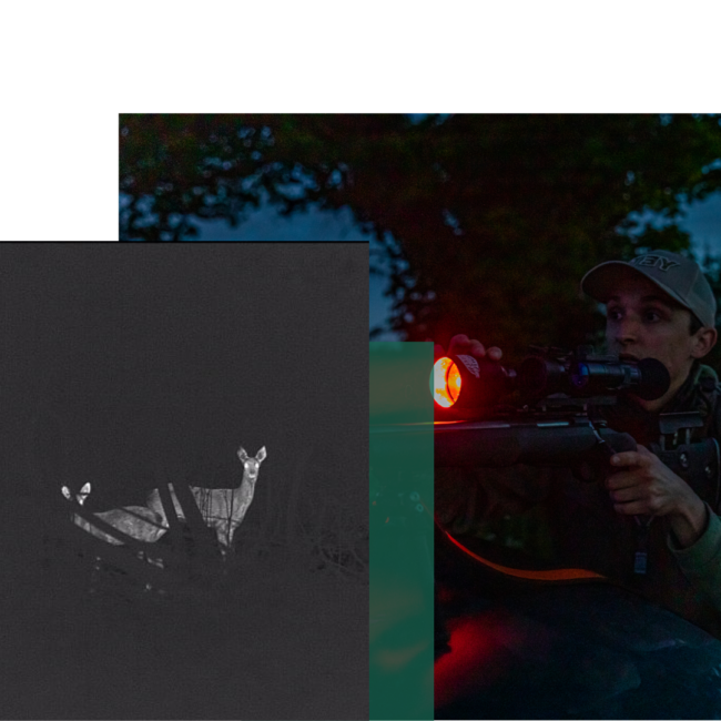 Night shooting certificate - header (1)