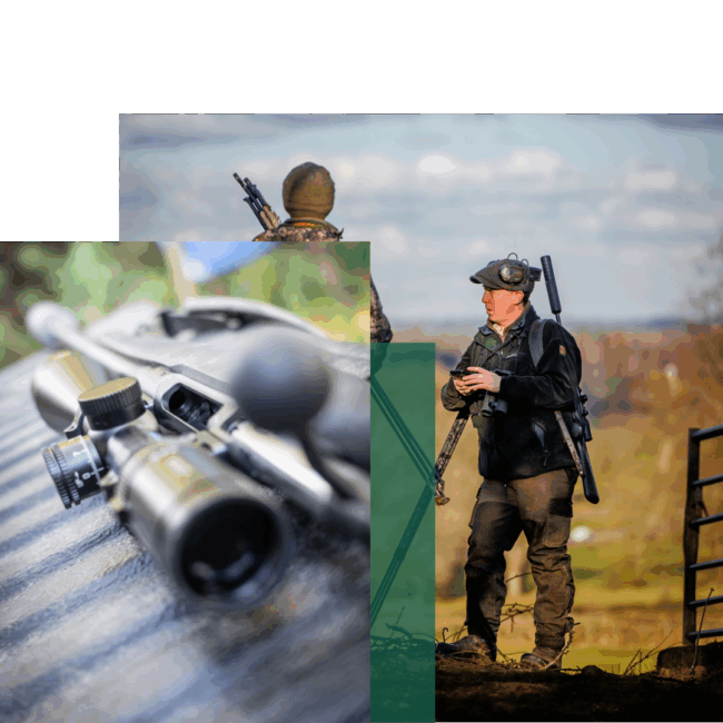 DMQ Approved Witness – header DMQ Approved Witness - header
