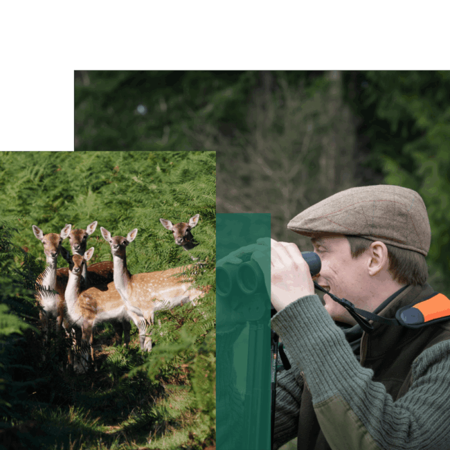 Deer Stalking Qualification – 2 – header (1) Deer Stalking Qualification - 2 - header (1)