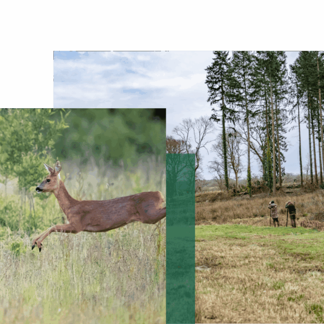 Downloadable Resources – header (1) Downloadable Resources - header (1)